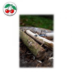 Σετ σκαρπέλων ξυλογλυπτικής σε δερμάτινη θήκη 3 τεμαχίων / Kirschen 3307000 / 14 Σετ σκαρπέλων ξυλογλυπτικής σε δερμάτινη θήκη 3 τεμαχίων / Kirschen 3307000 / 13