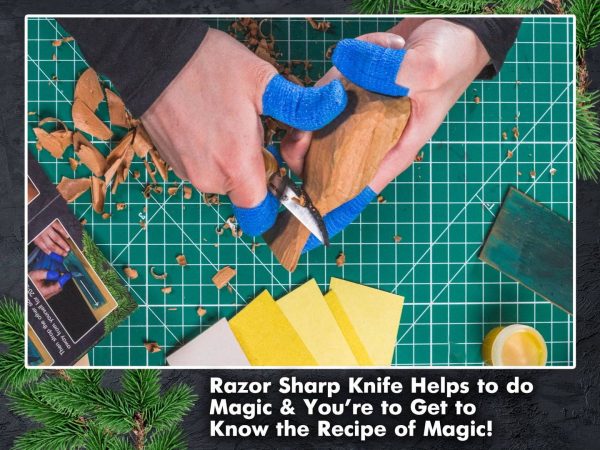 Σετ για γλυπτική σε ξύλο - Πουλί / BeaverCraft DIY01 / 3 Σετ για γλυπτική σε ξύλο - Πουλί / BeaverCraft DIY01 / 3